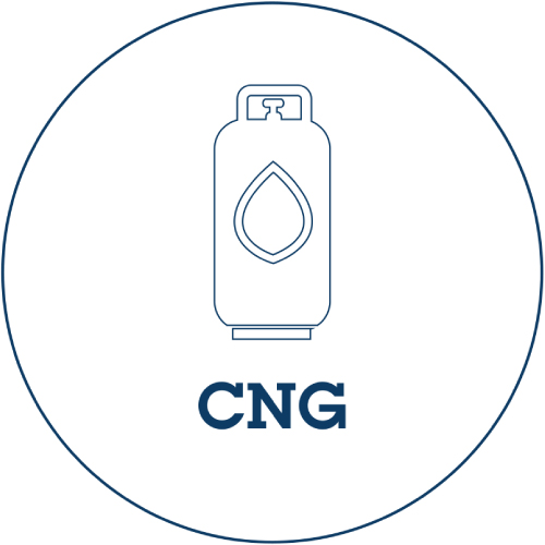 cng file driver